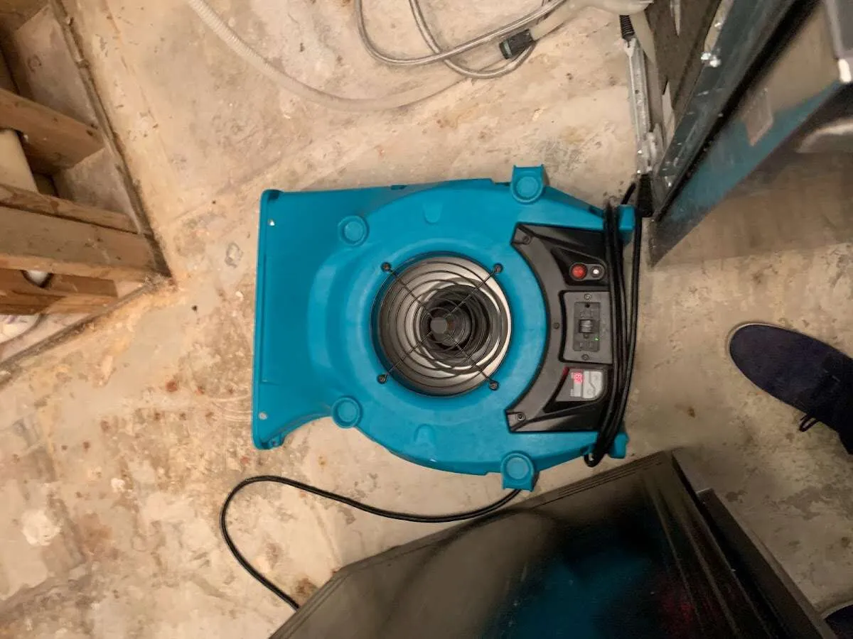 Air mover drying equipment for Mold Remediation & Removal in La Crescenta-Montrose