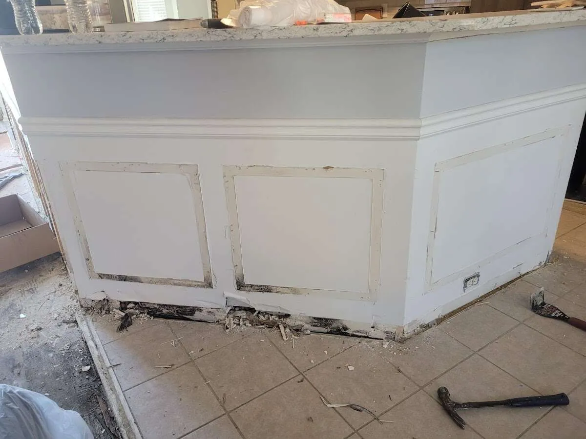 Water damage and mold on kitchen during Mold Inspection & Testing in La Crescenta-Montrose